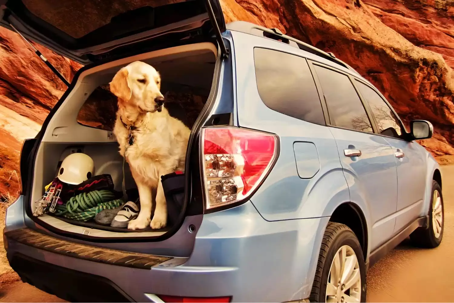 Durable Travel Bed for Dogs in Cars