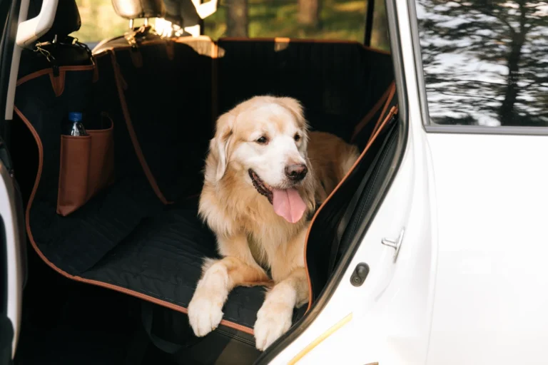 Non-Slip Car Hammock for Dogs