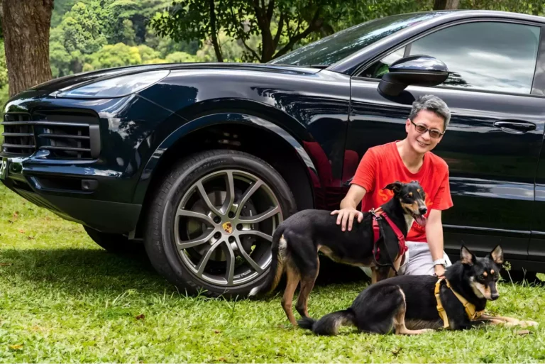 Non-Slip Car Hammock for Dogs