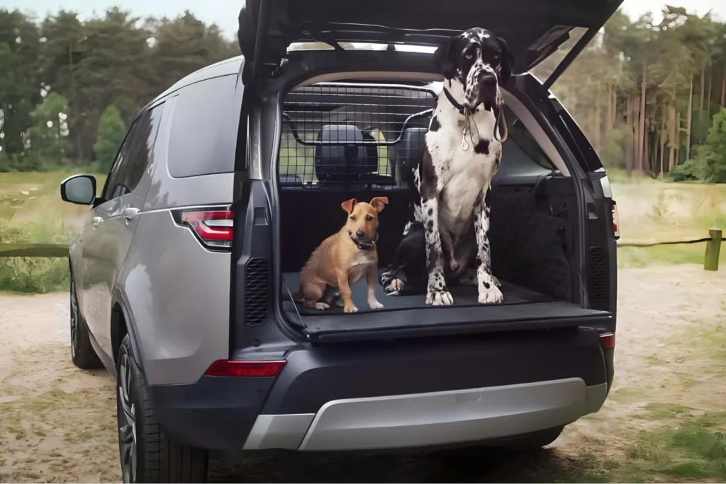 Scratchproof Dog Back Seat Protector