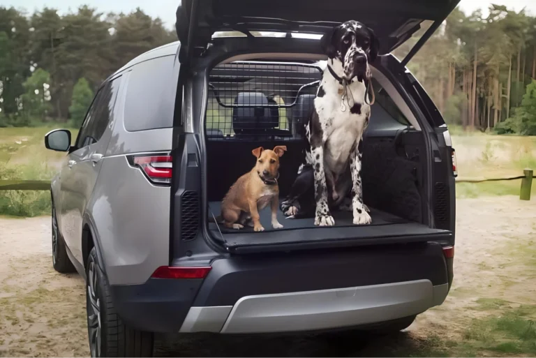 Scratchproof Dog Back Seat Protector