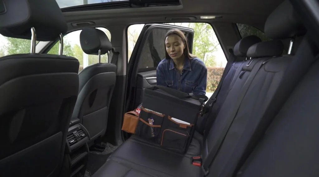 Portable Car Organizer